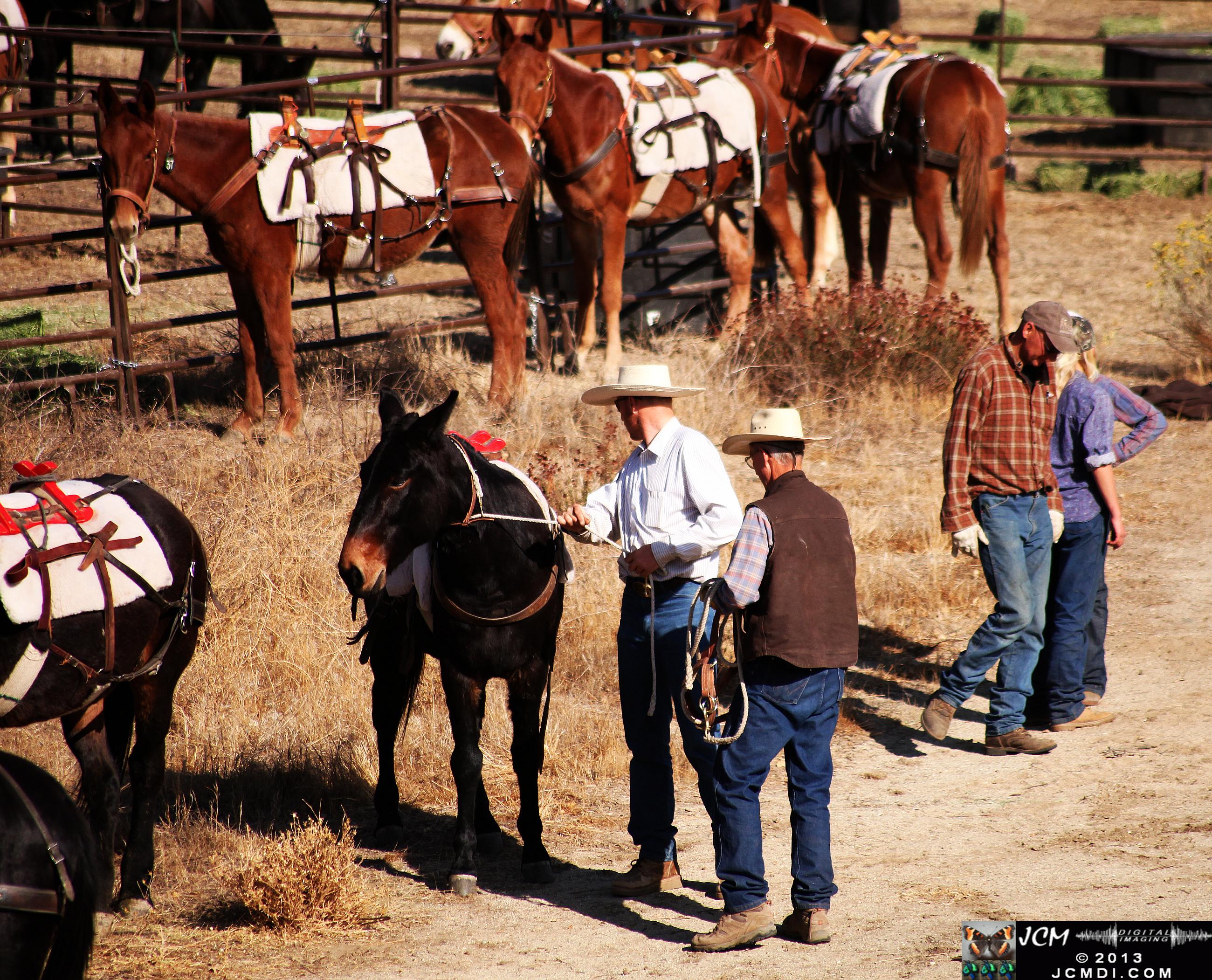 100 Mule Team at Whitney Canyon